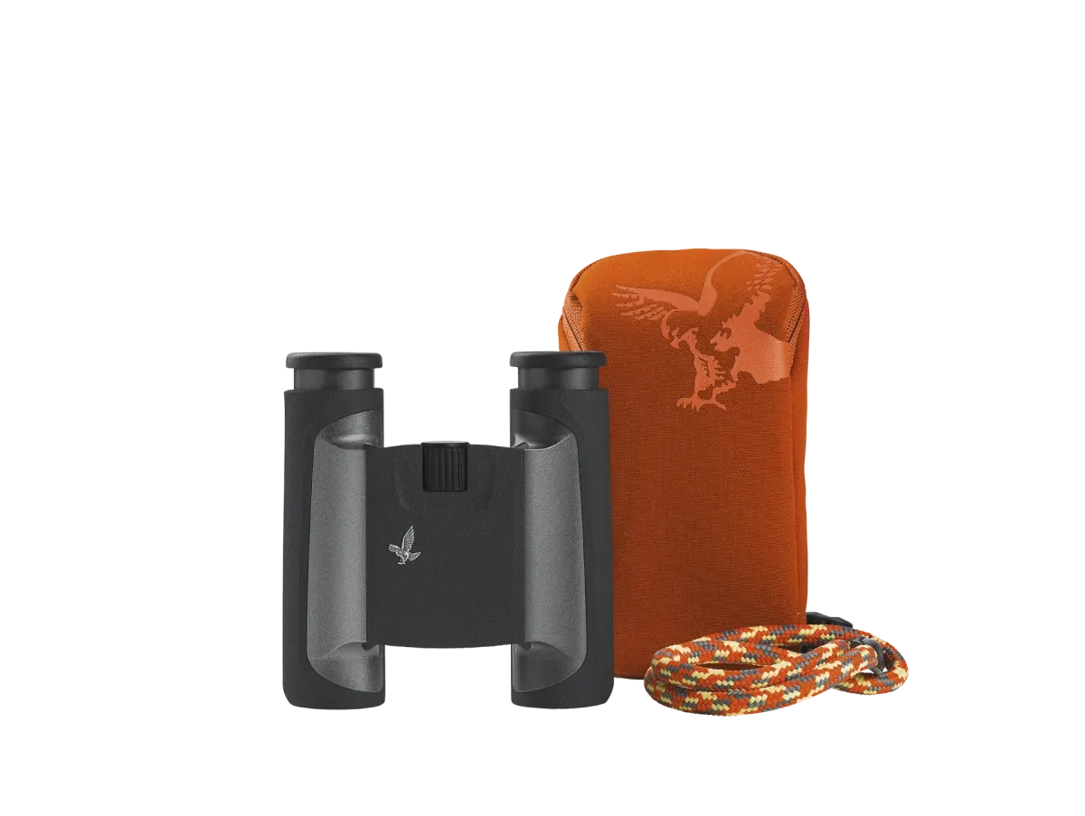 SWAROVSKI CL Pocket 8X25 Anthrazit/Mountain 