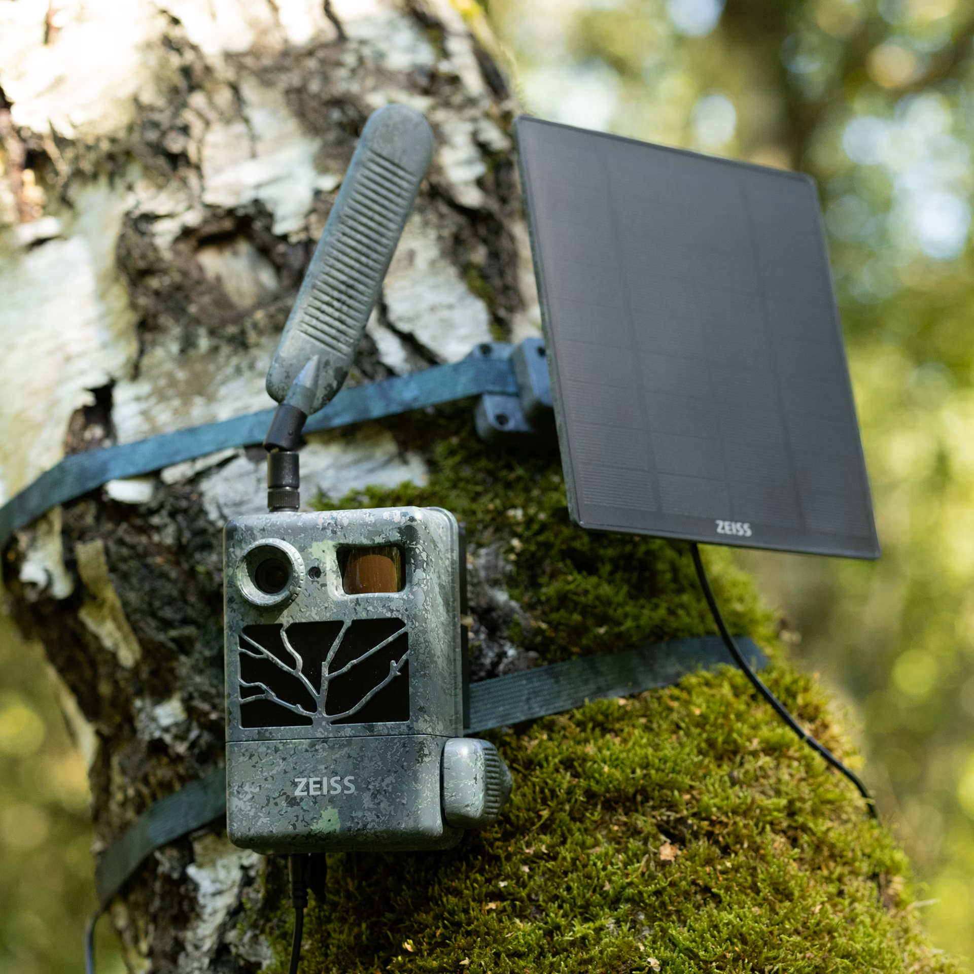 ZEISS Solar Panel Pro 