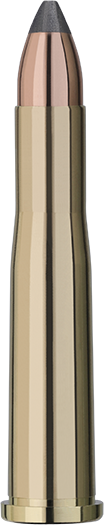 RWS .22 Hornet Teilmantel 3,0g/46gr RWS .22 Hornet Teilmantel 3,0g/46gr