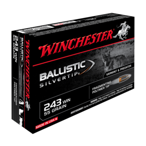 Winchester .243 Win. Ballistic Silvertip 6,16g/95gr