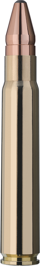 RWS 9,3x62 Doppelkern 14,6g/225gr RWS 9,3x62 Doppelkern 14,6g/225gr