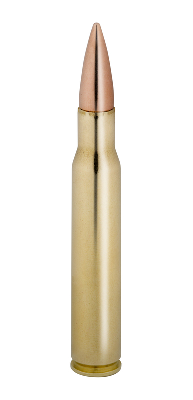 WINCHESTER .308 Win. Target 9,53g/147gr WINCHESTER .308 Win. Target 9,53g/147gr