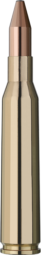 RWS 6,5x57 Kegelspitz 8,2g/127gr RWS 6,5x57 Kegelspitz 8,2g/127gr