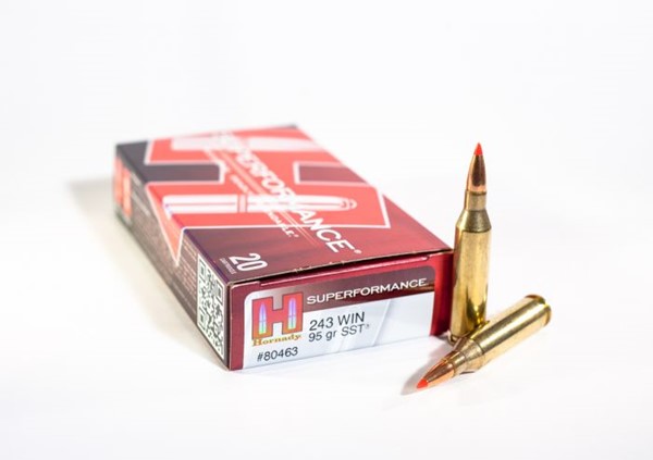 HORNADY 243 Win SST 6,2g/95grs