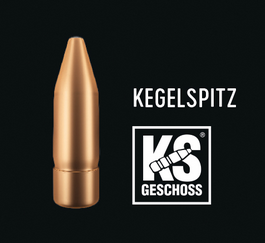 RWS Büchsenpatronengeschosse 7,62mm .308 KS 9,7g/150gr